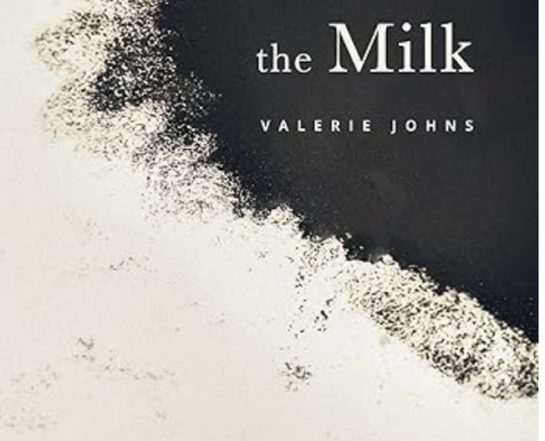Book cover for Ashes in the Milk
